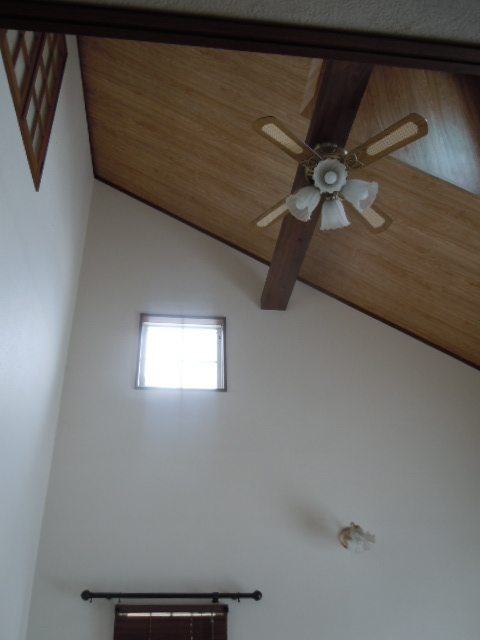 DSCN3866