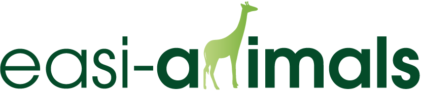 イージーアニマル