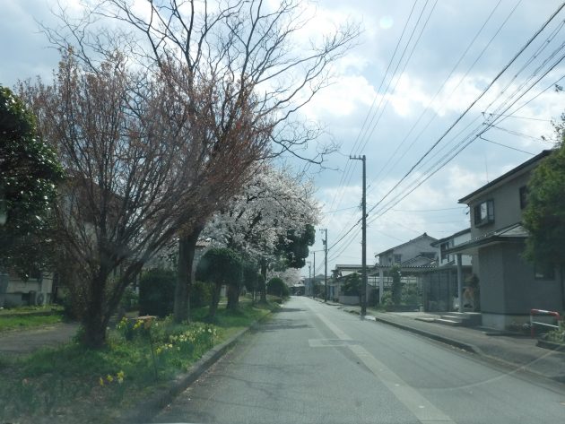 DSCF4228