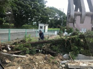 諸植栽の撤去