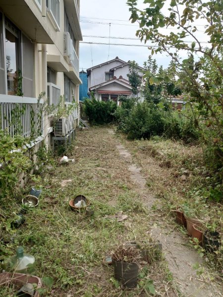 植栽を伐採しきれいになった敷地