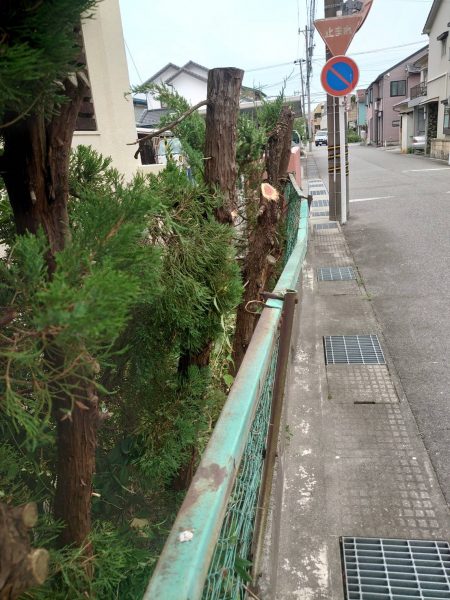 道にはみ出す植栽を幹から伐採