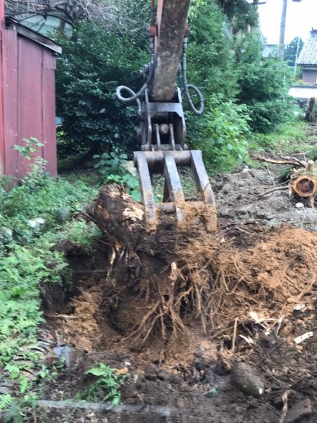 わかりやすい！植栽の「伐採と伐根の違い」とは？ 〔富山市の
