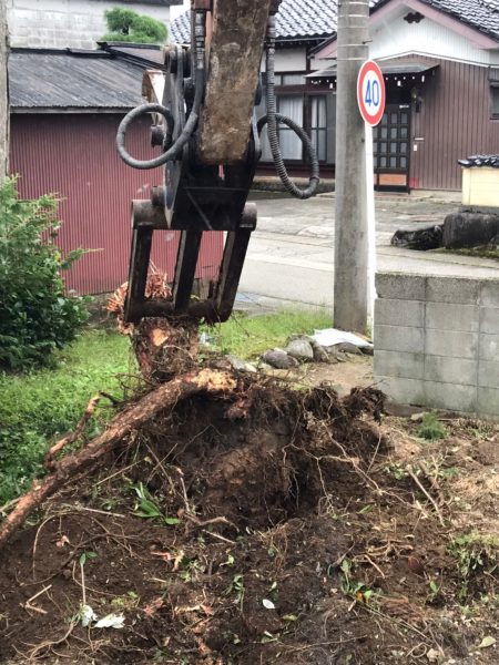 ユンボで伐根３